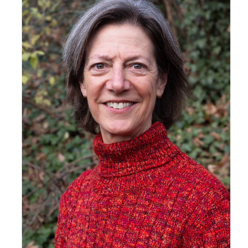 Rachel Schmidt, Ph.D.